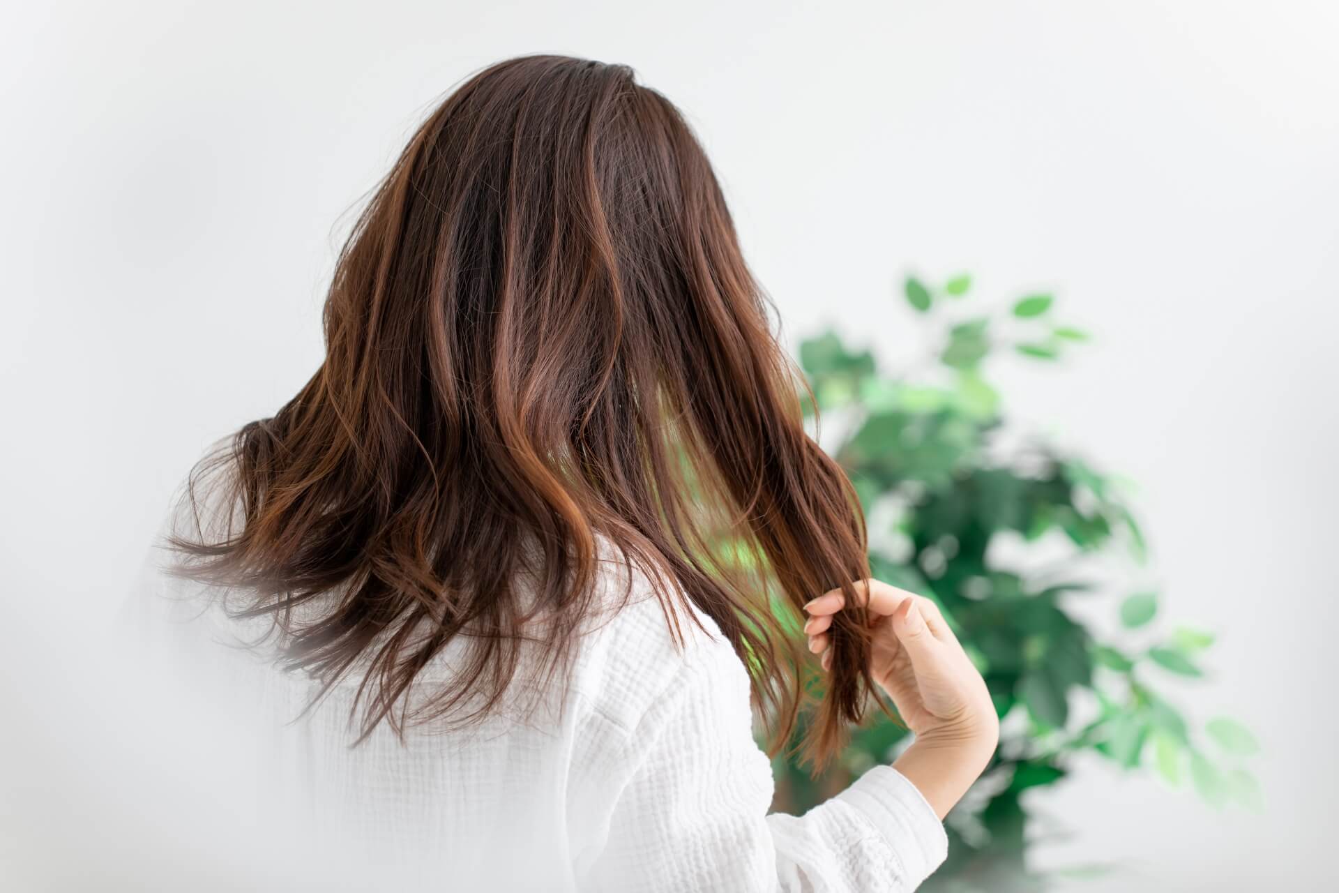 カット+グレイカラー